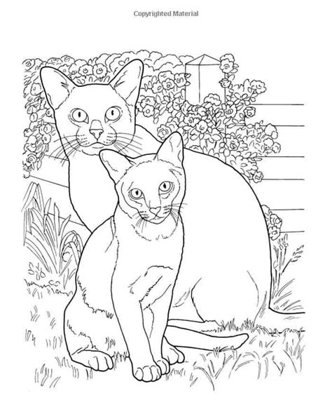 Please see the image gallery below to download more about realistic cat coloring pages. Cat Coloring Pages Realistic | Cat coloring page, Cat ...