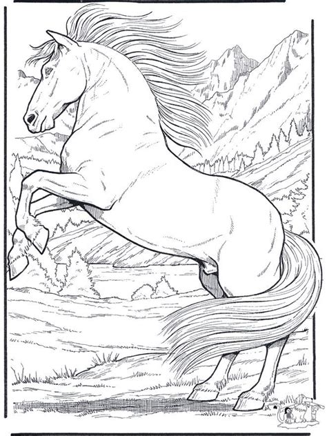 See more ideas about animal coloring pages coloring pages coloring books. Pin em Only Coloring Pages