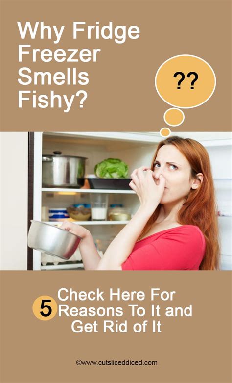 Why is our fridge smelling bad. How To Remove Fish Smell From Freezer | Fridge smells ...