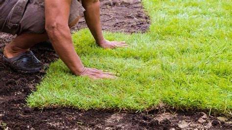 Cape canaveral lawn care and landscaping projects. Sodding Installation Services in Apollo Beach, Ruskin ...