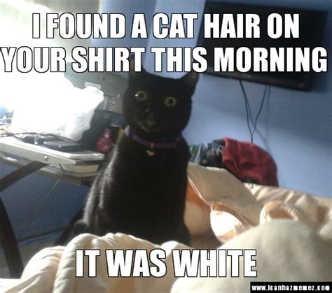 Sometimes the cat's behavior is indeed caused by competing over resources such as territory, food or the owner's affection. Happy Thursday afternoon! Do your pets ever get jealous ...