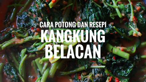 2 ikat kangkung (siangi) 1 buah resep tumis kangkung belacan gurih pedas merupakan resep yang wajib anda coba. Resepi Kangkung Belacan Sempoi dan Cara Memotong Kangkung ...