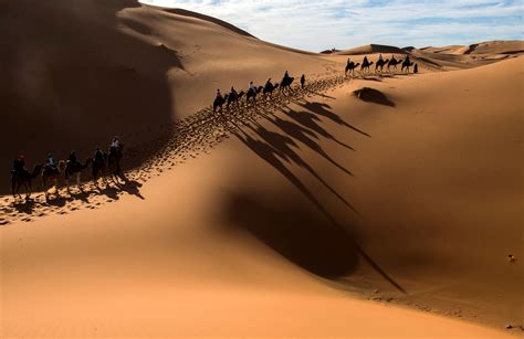 The sahara desert is the world's largest hot desert, located in north africa. Huh? De Sahara was ooit een grote zee! | Kidsweek