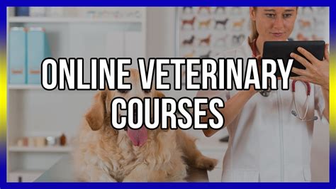 I am a veterinarian who is… starting a veterinary practice. Online Veterinary Courses - Free CE Below - YouTube