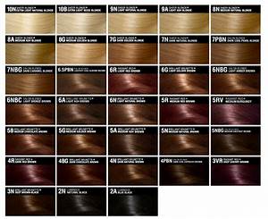 John Frieda Clairol Hair Color Brown Hair Color Chart Hair Color Chart
