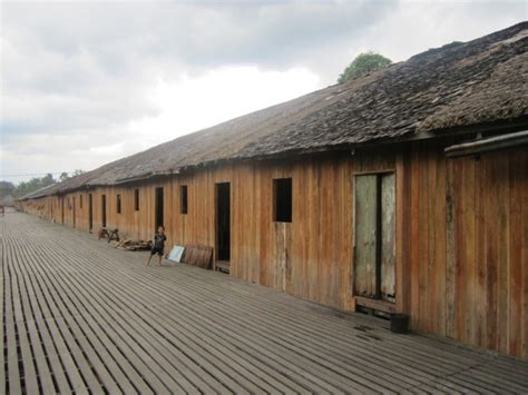 Bangunannya mengusung rumah panggung yang panjang seperti dengan namanya. Rumah Adat Betang beserta Penjelasan, Keunikan & Filosofi