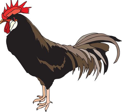 80+ Gambar Ayam Png Kekinian - Infobaru