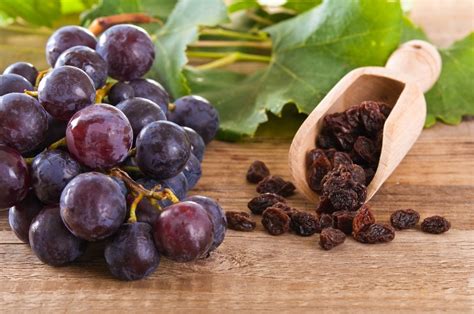 Don't dehydrate grapes with another family of foods. Grapes and Raisins Can Be Dangerous for Your Pets | ThriftyFun