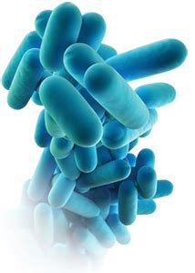 Legionella are waterborne bacteria that can proliferate under favourable conditions (temperatures between 25 and 50° celsius) in drinking water installations in buildings or in. Prevención de legionella - El único tratamiento eficaz es ...