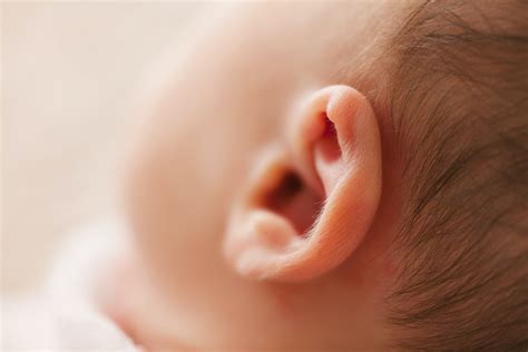 Macro Photography of babys Ear · Free Stock Photo