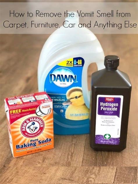 With a clean cotton cloth, rub the paint thinner into the stain. The Best Best Way To Clean Vomit From Car Carpet And View ...