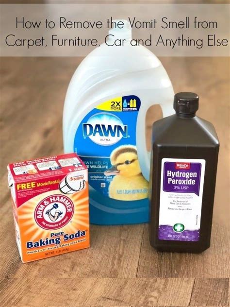 The above process does require a considerable amount of household products and elbow grease. The Best Best Way To Clean Vomit From Car Carpet And View ...