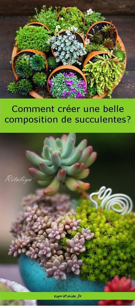 Check spelling or type a new query. 20 idées de composition florale avec des succulentes ...