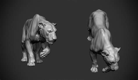 Designed purrrrrrr big cats lovers. ArtStation - Lioness, Jose Pericles en 2020 | Anatomie chat, Anatomie animale, Dessin anatomie