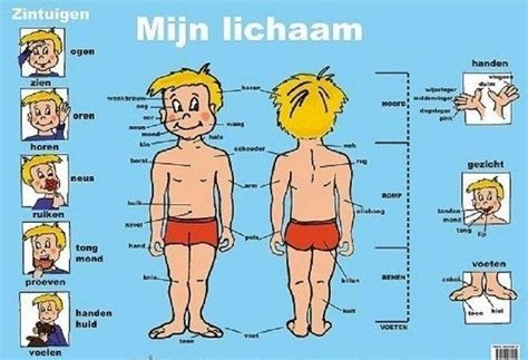 Kredit umožní i stahování neomezenou rychlostí. Lichaam