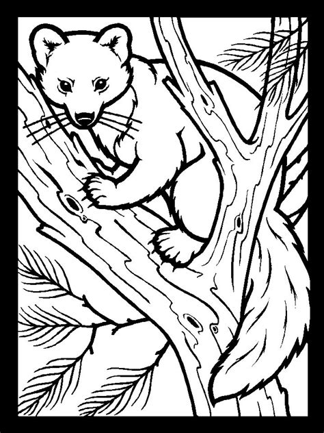 Big and small jungle animals. template | Coloring pages nature, Animal coloring pages ...