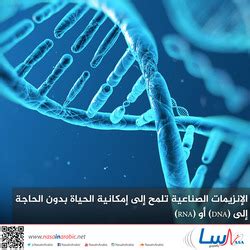 Check spelling or type a new query. ناسا بالعربي - مقالات موصوفة بـ #DNA
