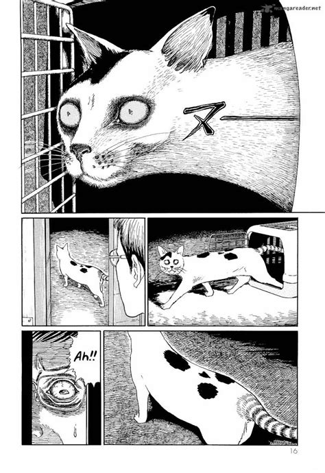 The program itself is available to be used on windows, mac, and ios. Junji Ito talks Kojima, live-action manga, and his most ...
