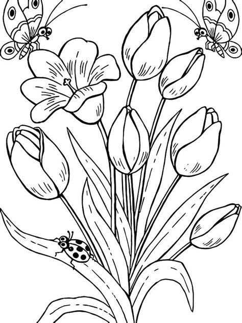 A captivating colouring book with hidden jewels. tulip coloring pages pdf | Printable flower coloring pages ...