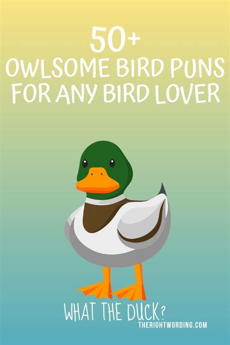 Maybe you would like to learn more about one of these? Pin on Puns, Jokes, One Liners