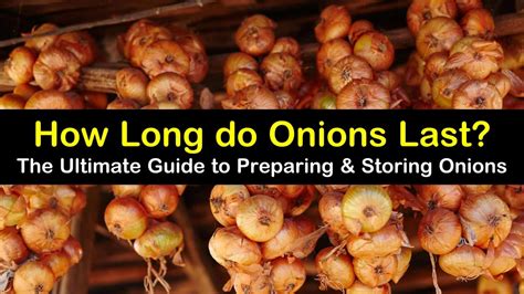 How to tell if onions are bad or spoiled? How Long Do Onions Last? - The Ultimate Guide to Preparing ...