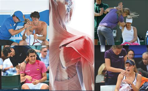 Wir erklären in fünf einfachen schritten, wie aus getreide, wasser und hefe. Wunder Punkt: Schulterschmerzen - tennis MAGAZIN