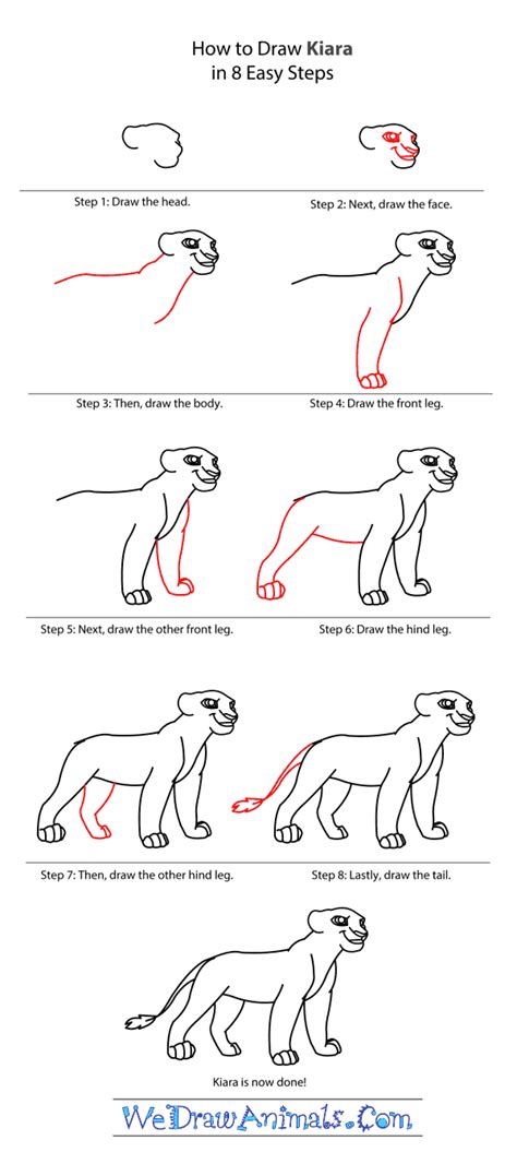 The main thing is to follow our recommendations, and you will succeed! How To Draw A Lion Step By Step - Cliparts.co