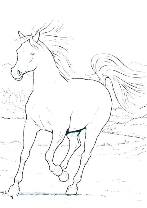 We did not find results for: Realistic Horse Coloring Pages at GetColorings.com | Free ...