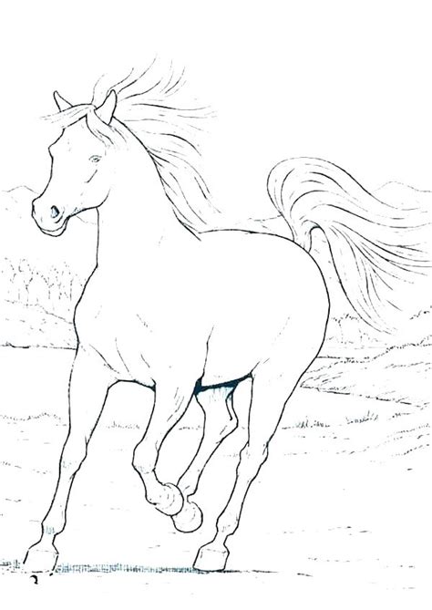 Realistic horses coloring pages helps your children to recognize the real horse, so they can color the horse like the real one. Realistic Horse Coloring Pages at GetColorings.com | Free ...