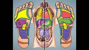 Better Health With Foot Reflexology The Body As Mapped Out On The Feet