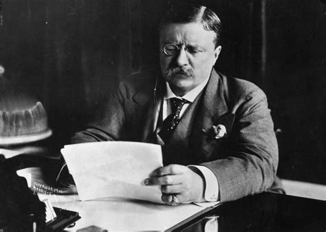 Theodore roosevelt iv, commonly known as theodore roosevelt iii, was an american banker, government official, veteran of world war ii, and a. Democrats, Republicans and a Lesson From Theodore ...