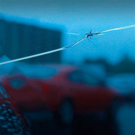 Chipped windshields are very common. Cracking the code on glass repairs | Progressive