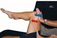 Back and hip extension activities during trunk flexion/extension: NASM - CEx - Muscle Testing - The Hip Complex - Psoas ...