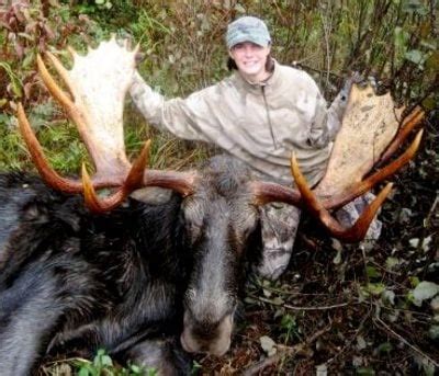 Maine s moose alley us route 201 to adventure northern. Once in a Lifetime MN Bull Moose! - Hunting Reports | In ...