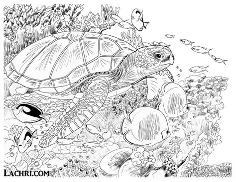 These pages are works of art so you can complete your own attention! Sea Turtle Colored Pencil tutorial | Turtle coloring pages ...