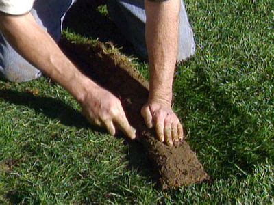 Fresh sod not only makes for an instant impact, it's vital for proper lawn lay the first roll of sod along your sidewalk, curb, driveway, patio, or garden, making sure it's in a straight line. How to Lay Sod : How-To : DIY Network | How to lay sod ...