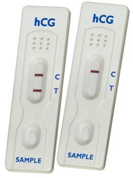 Most home pregnancy tests are reliable, for example clearblue's tests have an accuracy of over 99% from the day you expect your you can read about a molar pregnancy in more detail here. hCG Pregnancy Tests easy to interpret | EKF Diagnostics