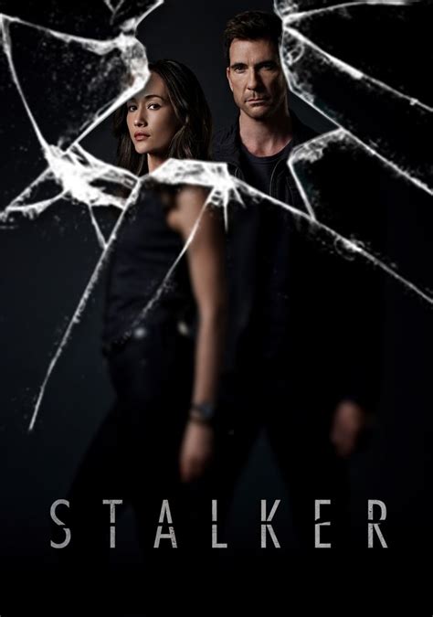 The tv show is an extraordinary piece of the filmmaking art in all its aspects. Stalker (2014-2015) CBS | Photo cast, Stalker, Tv shows