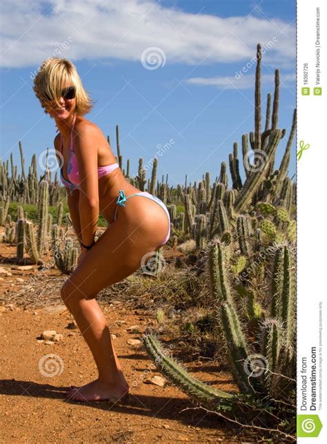 He and his friends are planning on taking a road trip north to experience a legendary shamanistic hallucinogen called the san pedro cactus. Bikini Girl cactus stock photo. Image of woman, beach ...