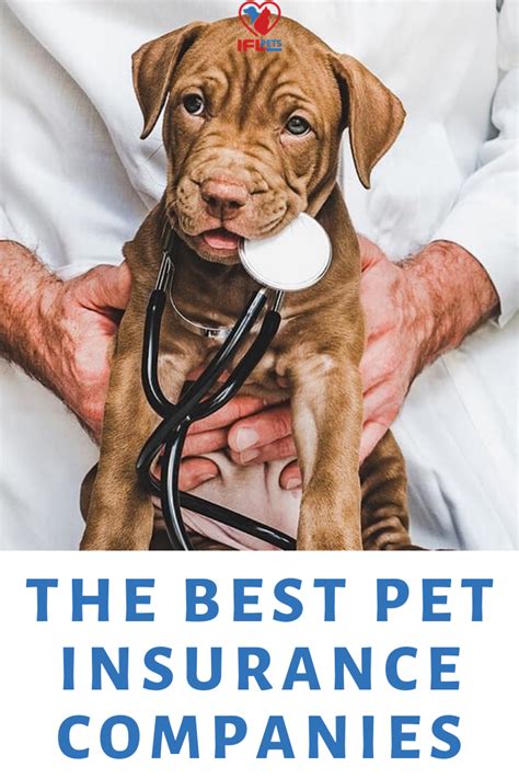 The best value pet insurance will offer the cover your pet needs at an affordable price. Best Pet Insurance for Dogs and Cats / Pet insurance ...