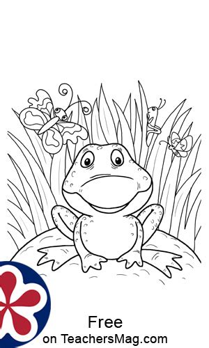 Favourite frog life cycle books for toddlers and preschoolers. Frog Life Cycle Coloring Pages and Mini-Book For ...