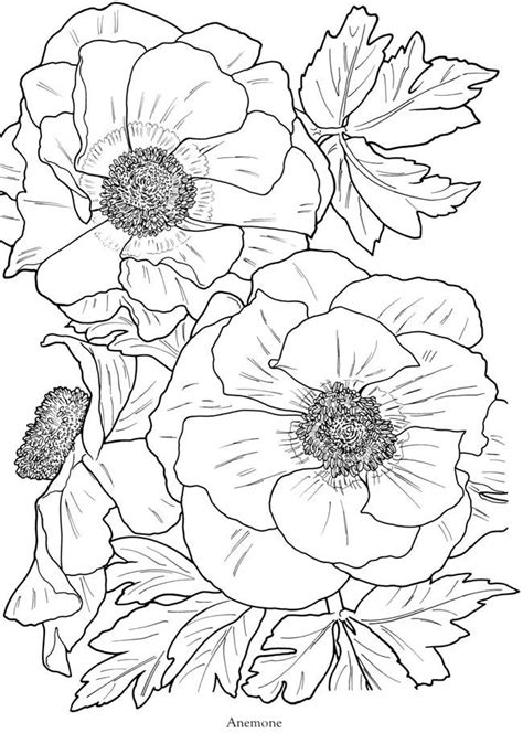 Select from 34561 printable crafts of cartoons, nature, animals, bible and many more. Anémone 354 coloriage à imprimer | ~~MOSAIC INSPIRATION ...