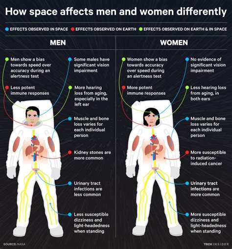 It comprises a head, neck, trunk (which includes the thorax and abdomen), arms and hands, legs and feet. Here's How Space Affects Men And Women Differently