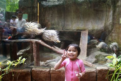 Petting zoo ocala on facebook. Lost World of Tambun : Day 2 ~ Berlenjan Di Taman Tema