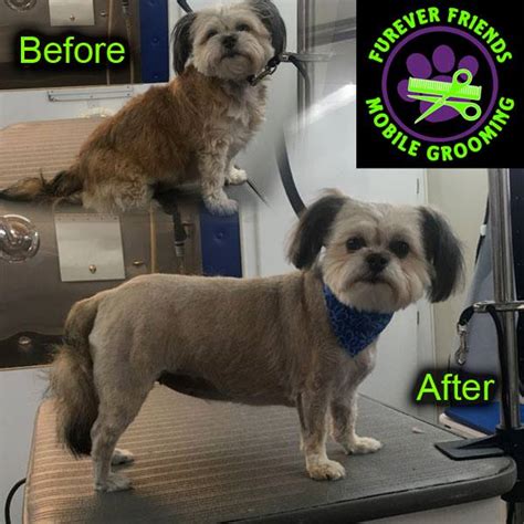 Mobile dog and cat groomer. Furever Friends Mobile Pet Grooming, The Villages, FL (2020)