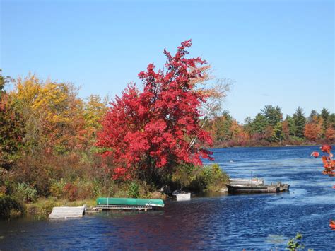 See our weekly ad, browse delicious recipes, or peruse store information. Pecks Pond | Pond, Outdoor, Water