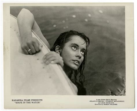 Roman Polanski Thriller Knife in the Water Vintage Jolanta Umecka ...