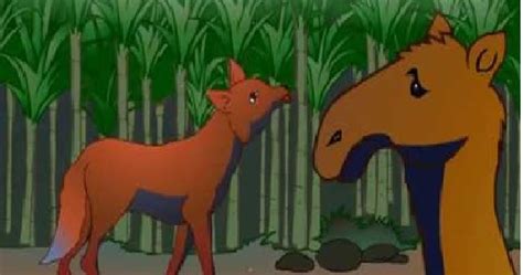 The camel and the jackal подробнее. Camel and The Jackal Moral Story - Moral Stories For Children