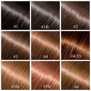 Hair Color Chart On Hair2design Com Online Store Hair Color Chart
