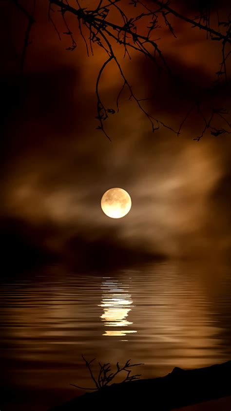 There is a right height to hang a picture Pin by Steven Grossman on Nature | Beautiful moon, Moon ...